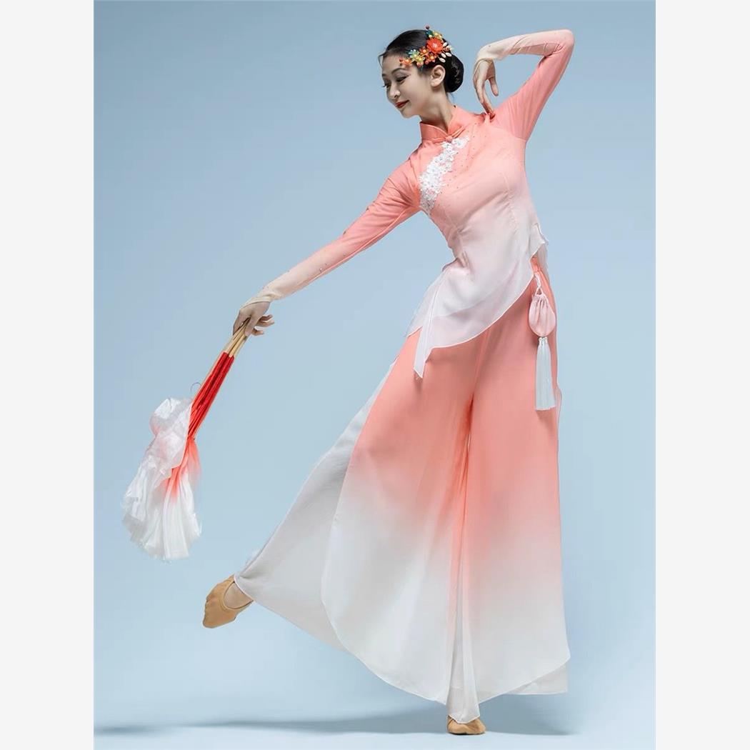 古典舞蹈演出服女中国风