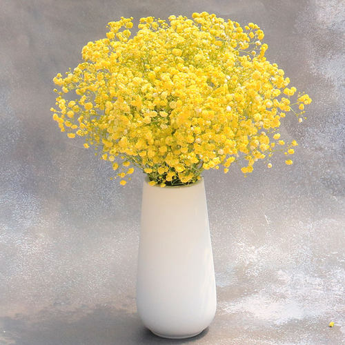 插花花粉价格 插花花粉图片 星期三