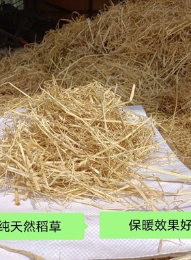 新稻草天然宠物鸡窝草干稻草牛羊猪饲料狗鸭窝草道具谷草秸秆