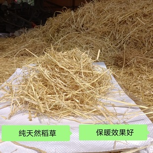 新稻草天然宠物鸡窝草干稻草牛羊猪饲料狗鸭窝草道具谷草秸秆
