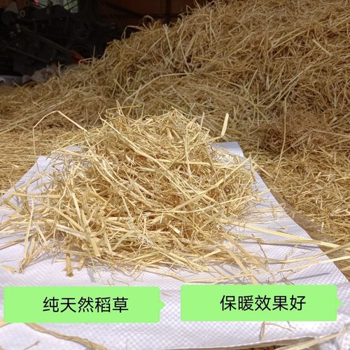 新稻草天然宠物鸡窝草干稻草牛羊猪饲料狗鸭窝草道具谷草秸秆
