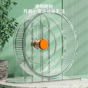 仓鼠跑轮静音带轴承金丝熊仓鼠玩具用品跑步球笼子滚轮运动带支架
