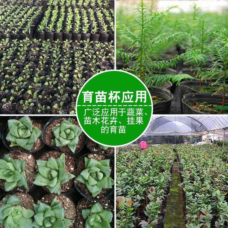 营养钵加厚一次性营养袋种植营养杯育苗盆种植花盆育苗穴盆育苗盘 Изображение 1 营养钵加厚一次性营养袋种植营养杯育苗盆种植花盆育苗穴盆育苗盘 Изображение 1