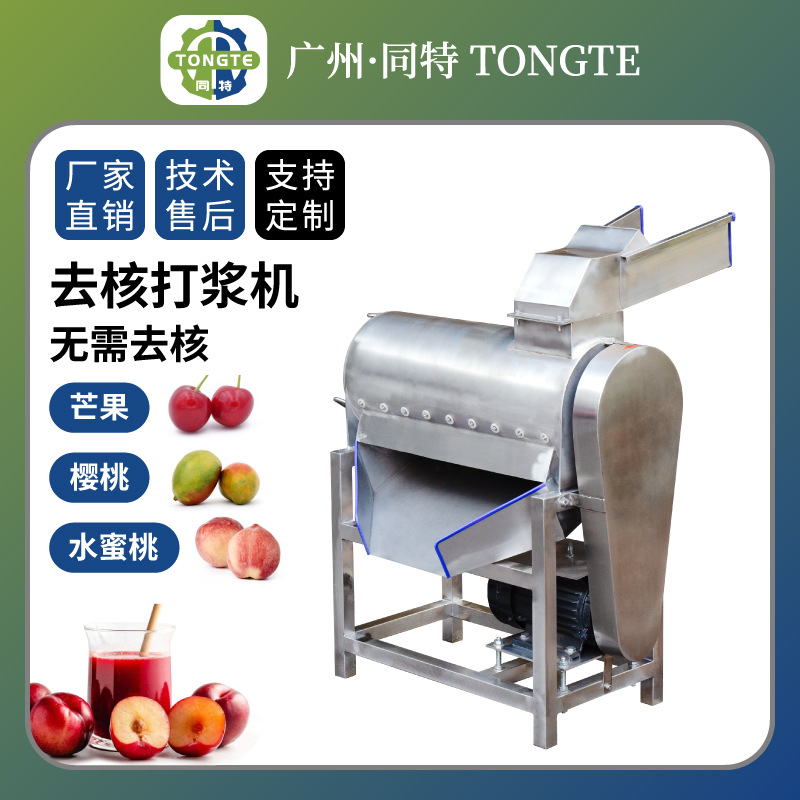 去核打浆机果蔬加工 水蜜桃打浆机 樱桃打浆机 芒果去皮打浆机