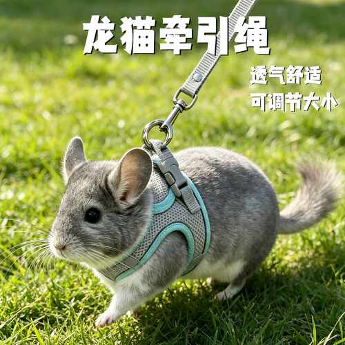 龙猫牵引绳外出专用背心式出门