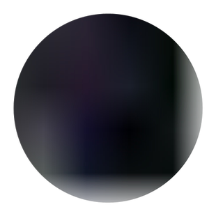 山竹苗岭南山竹树苗带营养杯土叶南方种植阳台庭院地盆栽绿化果树