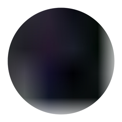 山竹树苗原盆原土当年结果包成活