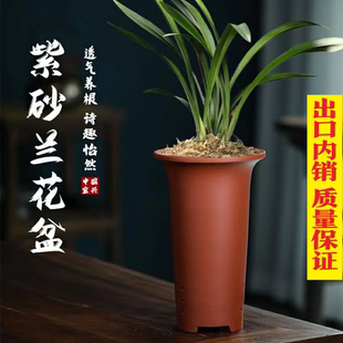 新款 兰花专用盆盆大全特价清仓紫砂盆景花瓶多肉花盆中国风