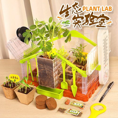 儿童科学种菜实验室套装植观察种子发芽生长盆栽小学生生态实验室