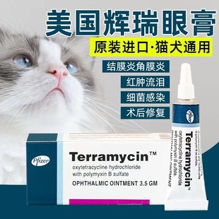 美国辉瑞眼膏猫咪宠物结膜炎泪腺炎角膜炎溃疡泪痕多消炎