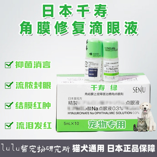 日本千寿绿瓶宠物专用干眼0.3%修复滴眼液猫狗角结膜溃疡上皮障害