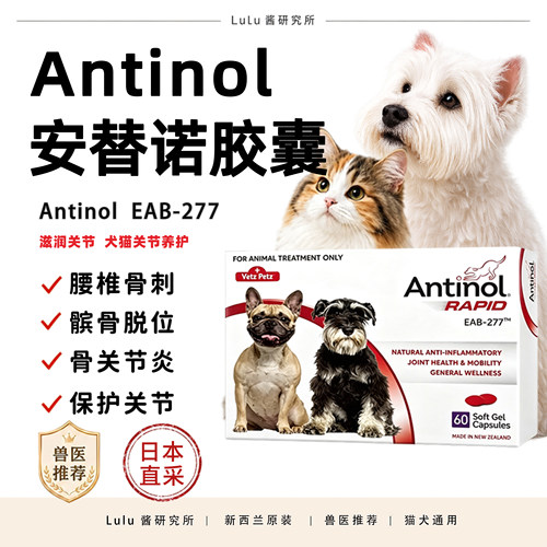 宠物保护骨关节焱腰椎骨刺安它诺