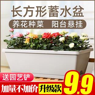 长方形壁挂花盆栽种菜神器塑料家庭阳台大花槽长条型霍伦盆蓄水盆