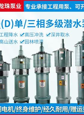 多级潜水泵220v家用抽水泵农用灌溉农用380v深井高压高扬程潜水泵