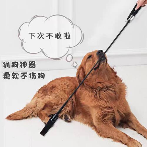 训狗专用工具皮鞭训狗器狗打棒拍