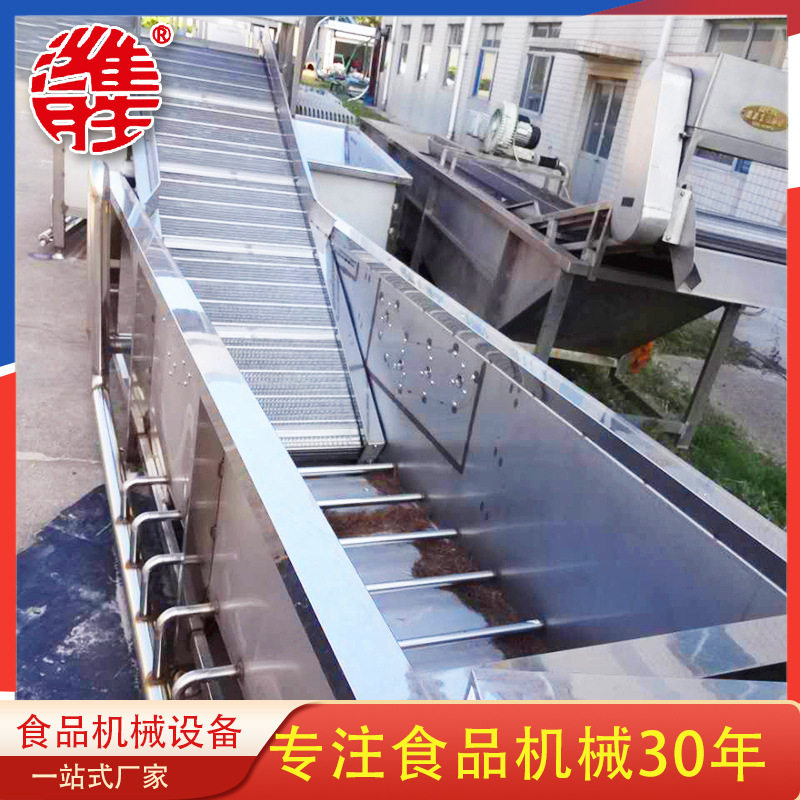 自动化蔬菜漂洗清洗机 韭菜大葱清洗设备 输送板式带清洗机
