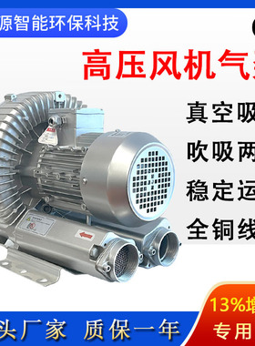 2JM 430 H06高压漩涡风机旋涡气泵旋涡工业泵鱼塘增氧机工业鼓风