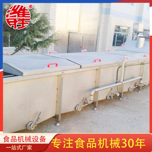 连续式清洗漂烫流水线 大型海带丝漂烫预冷线 豆芽漂烫杀青机