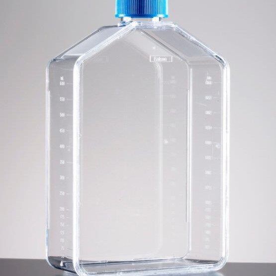 Falcon 175cm2 矩形直颈细胞培养瓶，带通风帽 货号353112