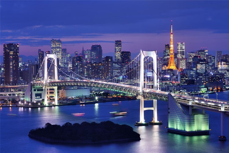 东京大桥夜景装饰风景图300/y500/1000/1500片成人