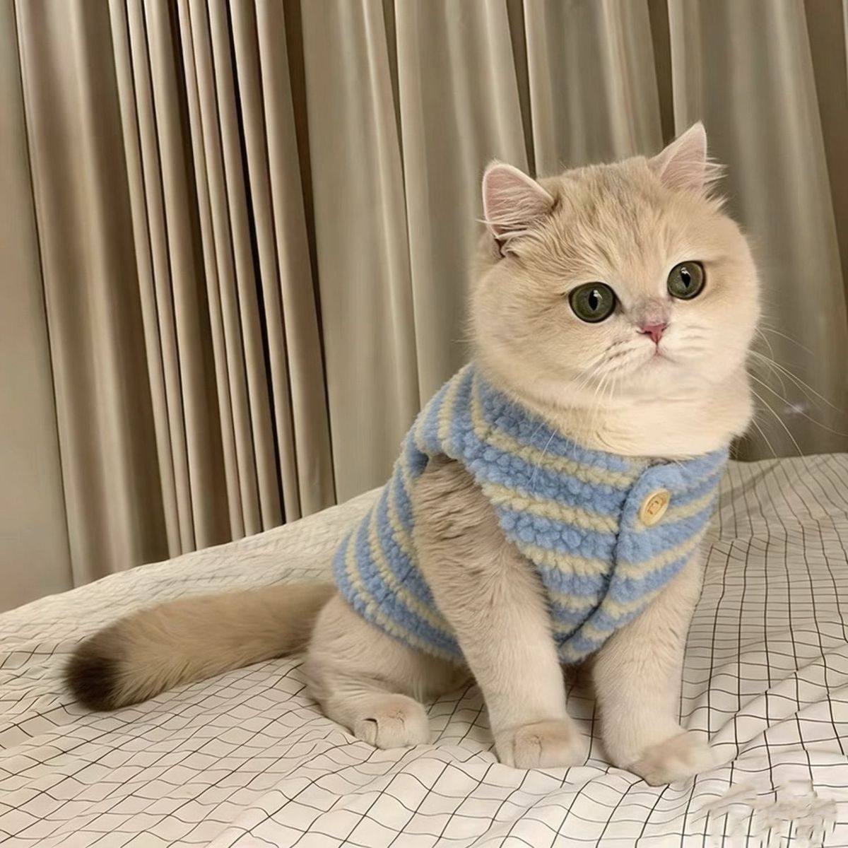 可爱ins保暖羊羔毛马甲背心泰迪博美宠物狗狗超萌秋冬款猫咪衣服,宠物/宠物食品及用品,狗宠物服装/雨衣,淘宝优惠券,粉丝福利购,淘宝优惠卷