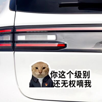 车门磁吸无权嘀我猫咪搞笑车贴