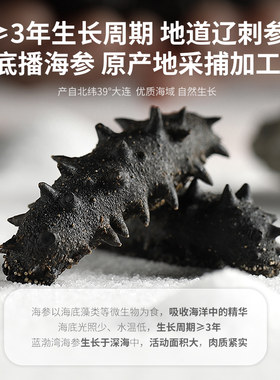 蓝渤湾干海参淡干海参干货辽刺参海鲜水产蓝御礼盒 500克60到65头
