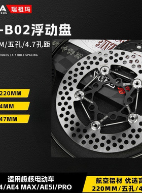 RZMA浮动刹车盘AE-B02适用极核电动车AE4 MAX/AE5i/pro制动碟刹盘