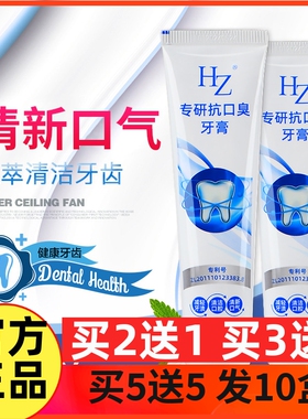 新款HZ专研抗口臭牙膏 呵护口腔 清新口气 160g/支