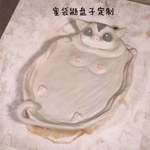 罩杯大盘食盘蜜袋鼯宠物可定制