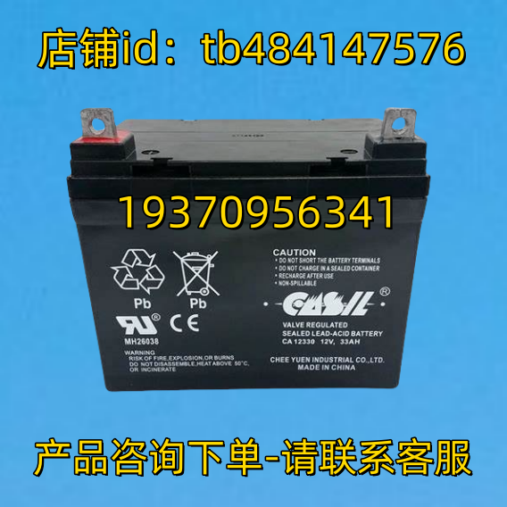 CASIL蓄电池 CASIL CA12330 12V 33AH BATTERY 电池