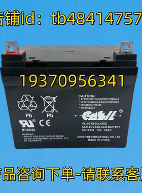 CASIL蓄电池 CASIL CA12330 12V 33AH BATTERY 电池