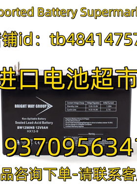BRIGHT WAY GROUP蓄电池 BW1290NB 12V9AH HX12-9维护电池