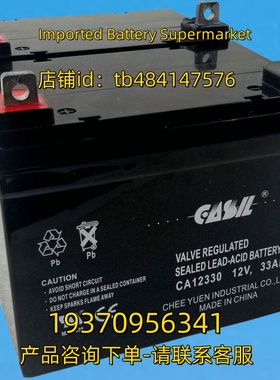 CASIL蓄电池 CASIL CA12330 12V 33AH BATTERY 电池