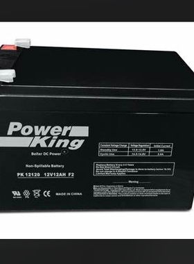 POWER KING蓄电池 POWERKING PK12120 12V12AH F2 免维护电池