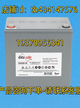 DATA SAFE 蓄电池 DATASAFE HX 12HX205-FR 12V 205W CELL 15MIN