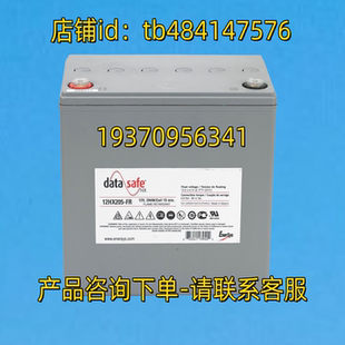 15MIN 蓄电池 CELL 205W 12V 12HX205 DATASAFE SAFE DATA