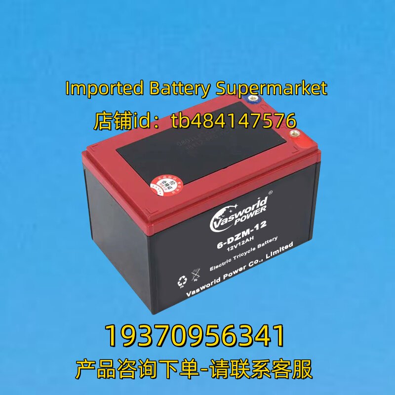 vasworld power蓄电池 vasworldpower 6-DZM-12 12V12AH 电池