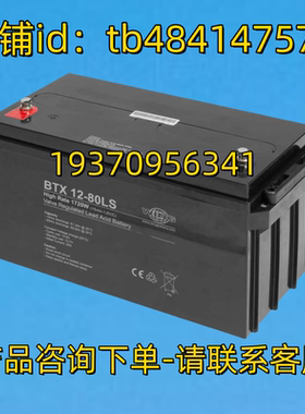 WING 蓄电池 wingbattery BTX12-80LS High Rate 1720W 12V 80AH