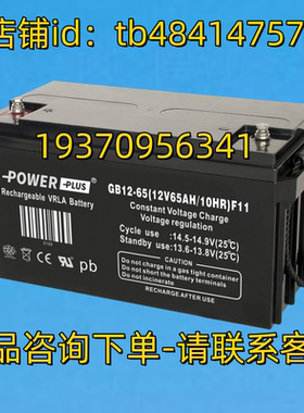 POWER PLUS蓄电池 POWERPLUS GB12-65 12V65AH/10HR F11 电池