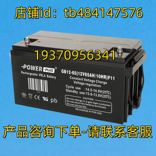 POWER PLUS蓄电池 POWERPLUS GB12-65 12V65AH/10HR F11 电池