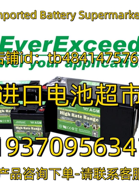 Everexceed蓄电池12V24 26 38 40 65 100  200 250AH AGM GEL电池
