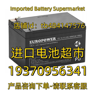 12V60W CELL 15MIN 15AH免维护电池 EUROPOWER蓄电池 12V EV15