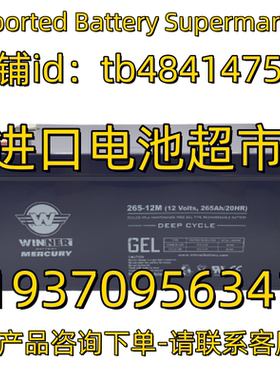WINNER蓄电池 GEL 265-12M 12 Volts 265AH/20AHR 太阳能电池