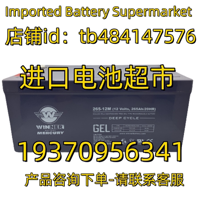 WINNER蓄电池 GEL 265-12M 12 Volts 265AH/20AHR 太阳能电池