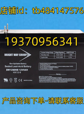 BRIGHT WAY GROUP 蓄电池 BW1290NB 12V 9AH HX12-9 电池