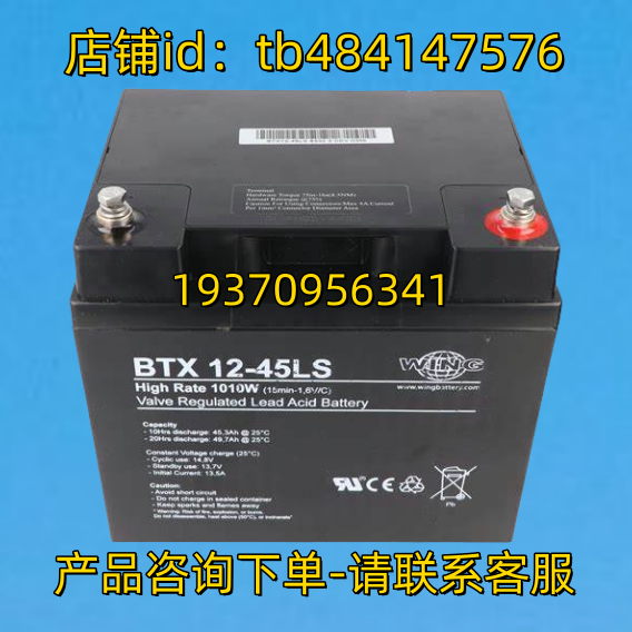 WING 蓄电池 wingbattery BTX 12-45LS High Rate 1010w 12V45AH
