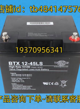 WING 蓄电池 wingbattery BTX 12-45LS High Rate 1010w 12V45AH