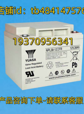 YUASA蓄电池 YUASA NPL38-12IFR 12V 38AH  电池