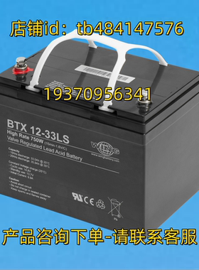 WING 蓄电池 wingbattery BTX12-33LS High Rate 750W 12V 33AH